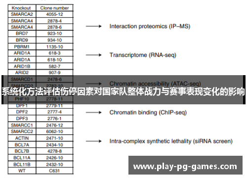 系统化方法评估伤停因素对国家队整体战力与赛事表现变化的影响